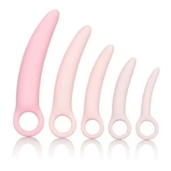 CalExotics Inspire Silicone Vaginal Dilators Kit
