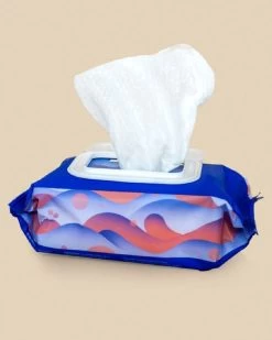 Dame Aloe Infused Biodegradable Intimate Body Wipes - 25 Count