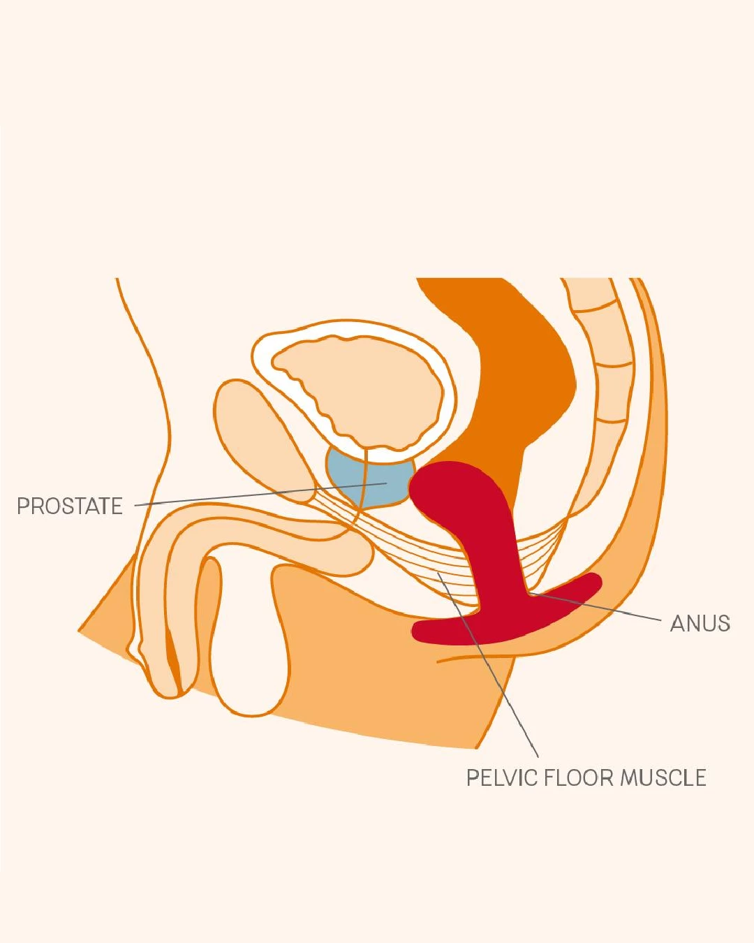 Fun Factory Bootie Large Silicone Anal & Prostate Plug - Black - Image 4